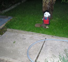 Igel 2008, Ist da einer vom gegen�berliegenden Bild dabei?